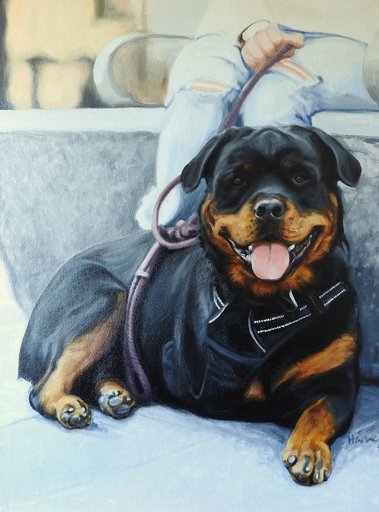 Pet portrait of a loved Rottweiler, glazed in oil paints on canvas by portrait artist based in the UK Matt Harvey