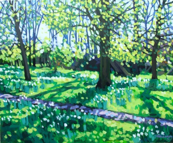 Beechwood in spring with daffodils