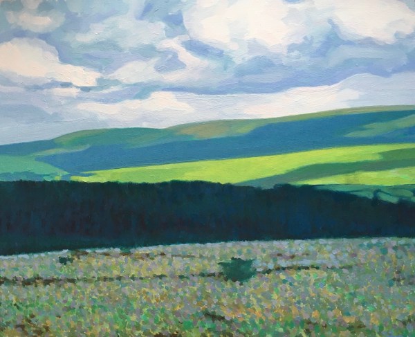 Oil painting of dark forests on Dartmoor in England by contemporary british landscape painter Matt Harvey