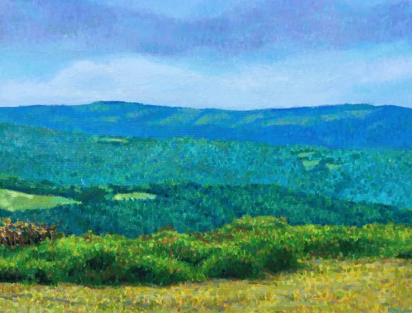 Looking across hills of forest in Devon